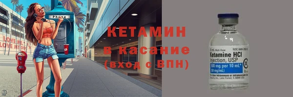 стаф Аркадак