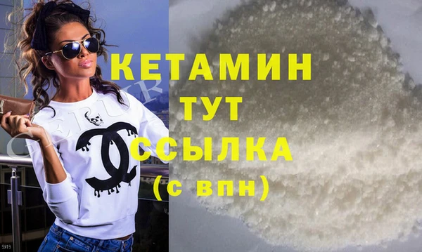 стаф Аркадак