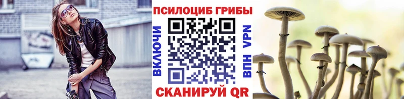 Псилоцибиновые грибы прущие грибы  мега ТОР  Сибай 