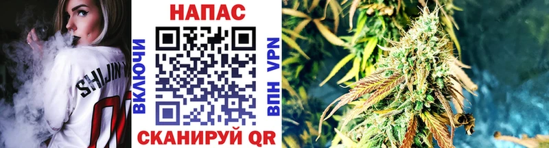 omg как войти  Сибай  Бошки марихуана VHQ 